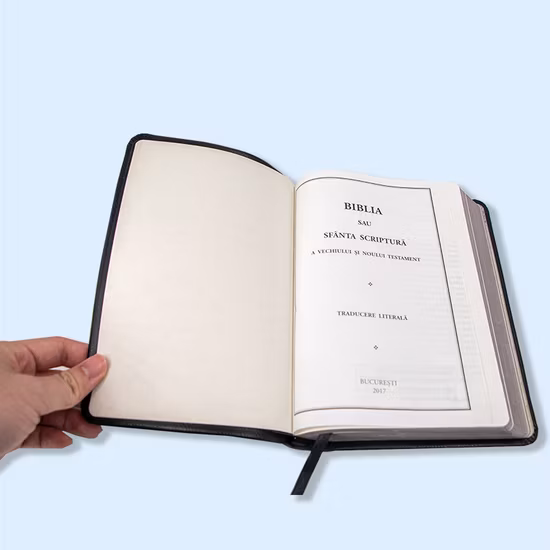 Новый дизайн настроить печать логотипа больших размеров для мужчин 'ST